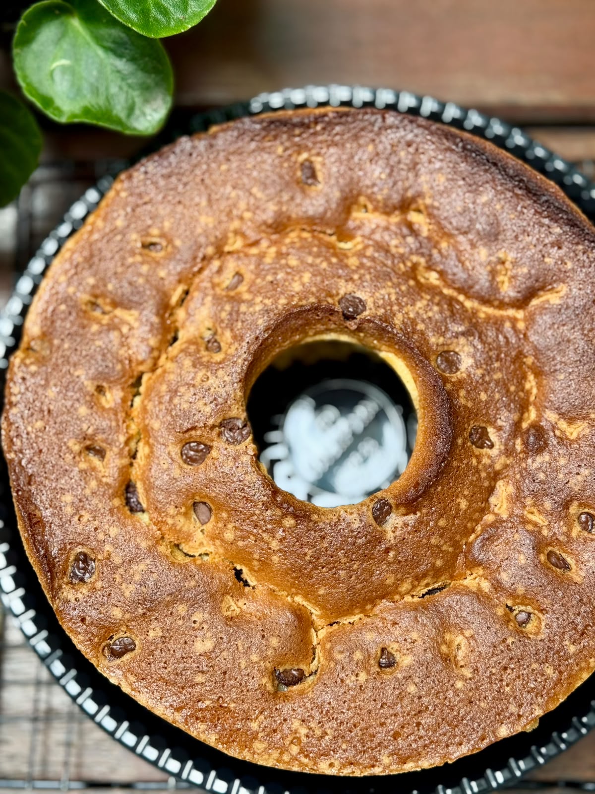 Bolo de Laranja com Gotas de Chocolate