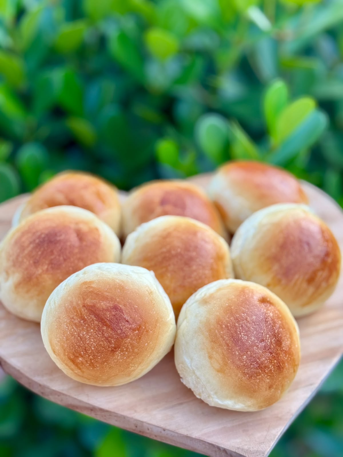 Pãozinho Benício
